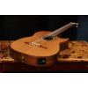 Ortega FLAMETAL-TWO Ben Woods Signature Nylon String Guitar 6-String + Ben Woods Gigbag