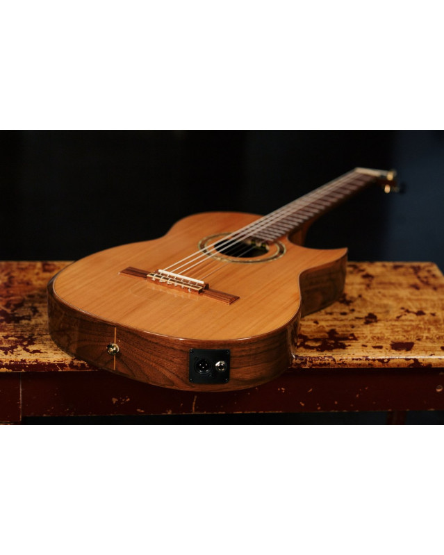 Ortega FLAMETAL-TWO Ben Woods Signature Nylon String Guitar 6-String + Ben Woods Gigbag
