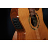 Ortega FLAMETAL-TWO Ben Woods Signature Nylon String Guitar 6-String + Ben Woods Gigbag