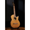 Ortega FLAMETAL-TWO Ben Woods Signature Nylon String Guitar 6-String + Ben Woods Gigbag
