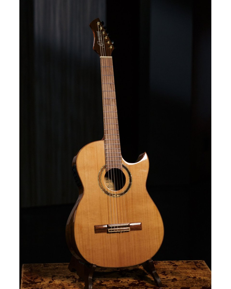 Ortega FLAMETAL-TWO Ben Woods Signature Nylon String Guitar 6-String + Ben Woods Gigbag