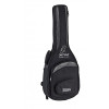 Ortega FLAMETAL-TWO Ben Woods Signature Nylon String Guitar 6-String + Ben Woods Gigbag