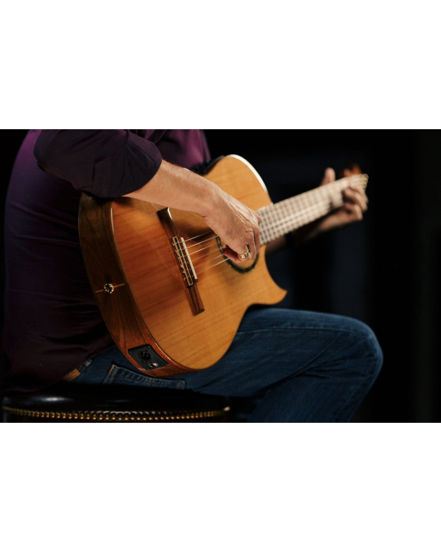 Ortega FLAMETAL-TWO Ben Woods Signature Nylon String Guitar 6-String + Ben Woods Gigbag