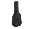 Ortega FLAMETAL-TWO Ben Woods Signature Nylon String Guitar 6-String + Ben Woods Gigbag