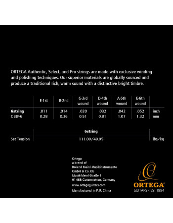 Ortega GBJP-6 Custom Made Strings Pro - Banjo 6 String