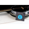 Ortega GBJP-6 Custom Made Strings Pro - Banjo 6 String