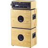Ortega HONE Amplification Series Amplifier Head