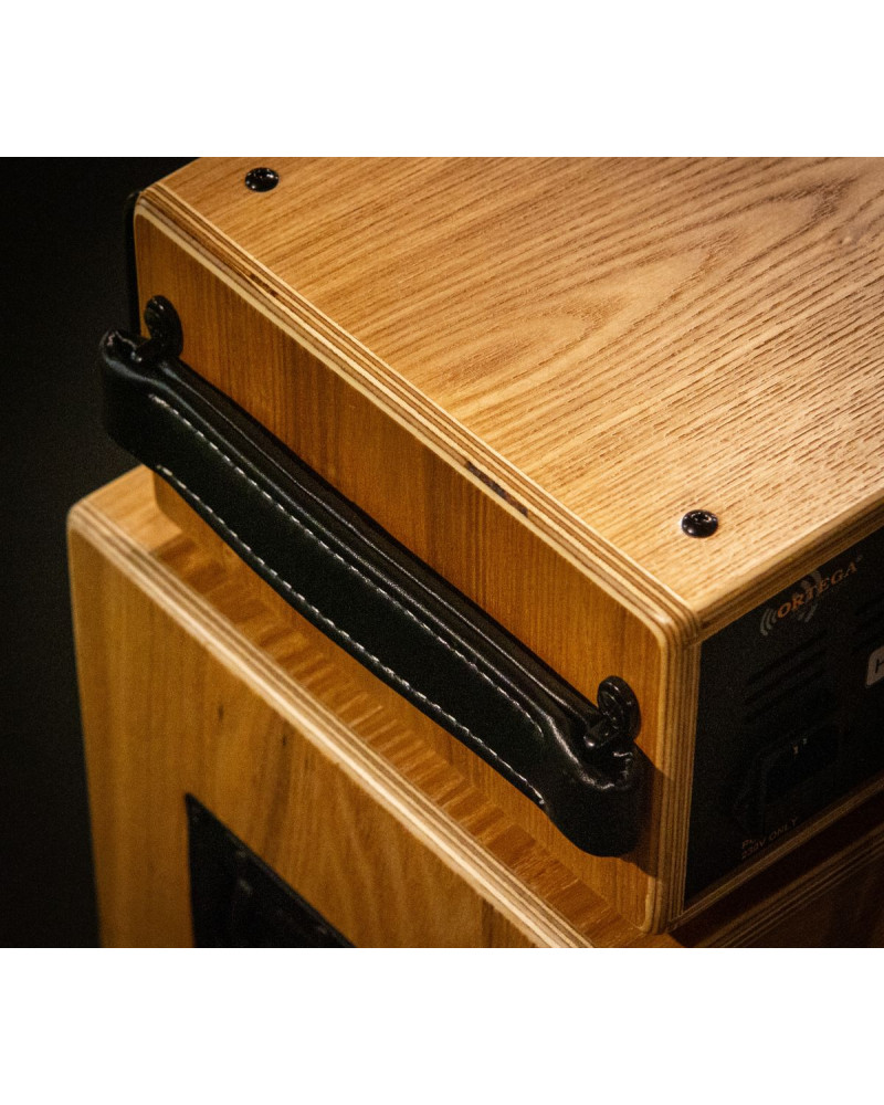 Ortega HONE Amplification Series Amplifier Head