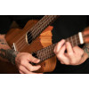 Ortega HYDRA Custom Built Series Double-Neck Tenor Ukulele - Ovangkol Natural + Bag