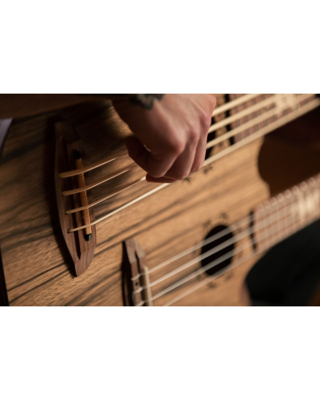 Ortega HYDRA-BSTE Custom Built Series Double-Neck UkeBass / Tenor Ukulele - Paldao Natural + Bag