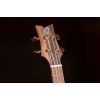 Ortega LIZARD-CC-GB Lizard Series Concert Ukulele 4 String - Paldao Natural + Bag