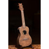 Ortega LIZARD-CC-GB Lizard Series Concert Ukulele 4 String - Paldao Natural + Bag