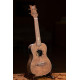 Ortega LIZARD-CC-GB Lizard Series Concert Ukulele 4 String - Paldao Natural + Bag