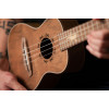 Ortega LIZARD-CC-GB Lizard Series Concert Ukulele 4 String - Paldao Natural + Bag