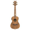Ortega LIZARD-CC-GB Lizard Series Concert Ukulele 4 String - Paldao Natural + Bag