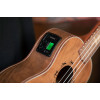 Ortega LIZARD-CC-GB Lizard Series Concert Ukulele 4 String - Paldao Natural + Bag