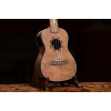 Ortega LIZARD-CC-GB Lizard Series Concert Ukulele 4 String - Paldao Natural + Bag