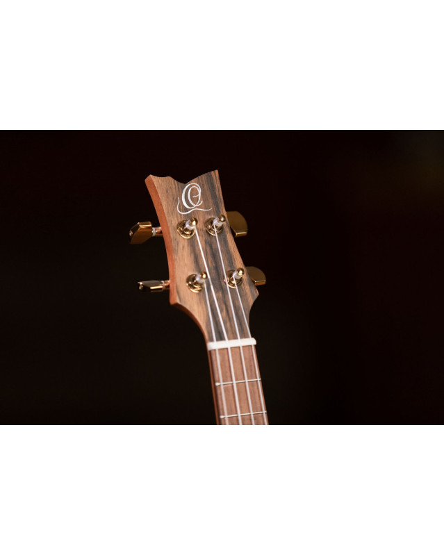 Ortega LIZARD-TE-GB Lizard Series Tenor Ukulele 4 String - Paldao Natural + Bag