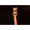 Ortega LIZARD-TE-GB Lizard Series Tenor Ukulele 4 String - Paldao Natural + Bag