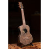 Ortega LIZARD-TE-GB Lizard Series Tenor Ukulele 4 String - Paldao Natural + Bag