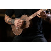 Ortega LIZARD-TE-GB Lizard Series Tenor Ukulele 4 String - Paldao Natural + Bag