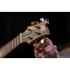 Ortega LIZARD-TE-GB Lizard Series Tenor Ukulele 4 String - Paldao Natural + Bag