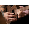Ortega LIZARD-TE-GB Lizard Series Tenor Ukulele 4 String - Paldao Natural + Bag