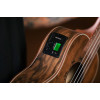 Ortega LIZARD-TE-GB Lizard Series Tenor Ukulele 4 String - Paldao Natural + Bag