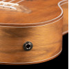 Ortega LIZARD-TE-GB Lizard Series Tenor Ukulele 4 String - Paldao Natural + Bag