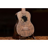Ortega LIZARD-TE-GB Lizard Series Tenor Ukulele 4 String - Paldao Natural + Bag
