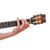 Ortega OBN28G Glas Slide - 28mm