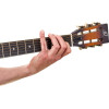 Ortega OBN28G Glas Slide - 28mm