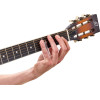 Ortega OBN60G Glas Slide - 60mm