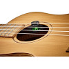 Ortega OCST-1BK Multi-Mode Soundhole-Tuner
