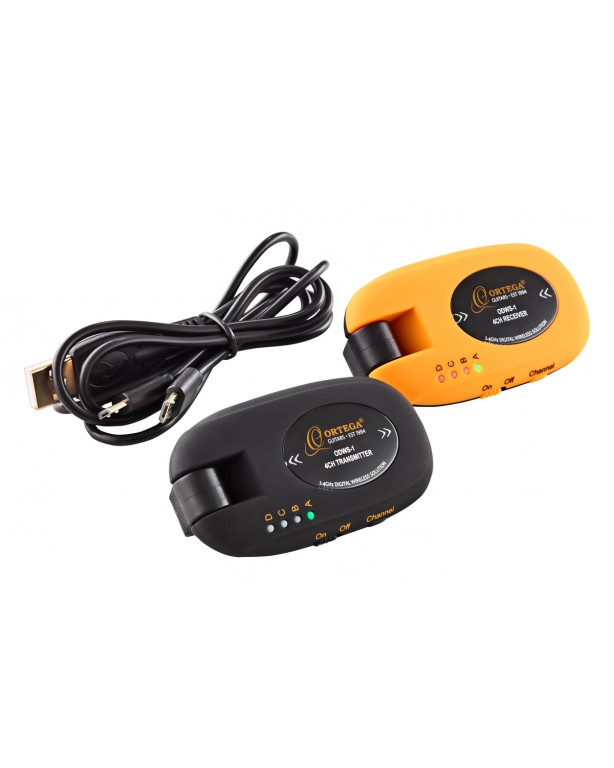 Ortega ODWS-1 Digital Wireless System - 4 Channels / 2,4 Ghz / Rechargeable + USB Cable