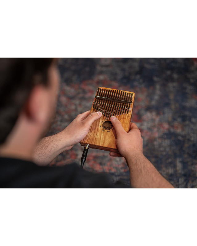 Ortega OKB1E Lizard Series Pickup Kalimba 17 Keys - Solid Acacia