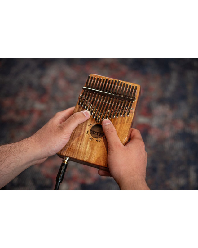 Ortega OKB1E Lizard Series Pickup Kalimba 17 Keys - Solid Acacia