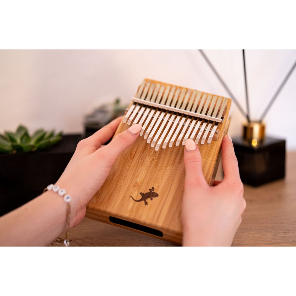 Ortega OKB2 Lizard Series Kalimba 17 Keys - Solid Bamboo