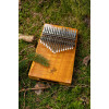 Ortega OKB3 Lizard Series Kalimba 17 Keys - Solid Golden Phoebe