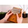 Ortega OKB3 Lizard Series Kalimba 17 Keys - Solid Golden Phoebe