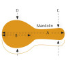 Ortega OMCSTD-A Economy A-Style Mandolin-Hardcase - Black