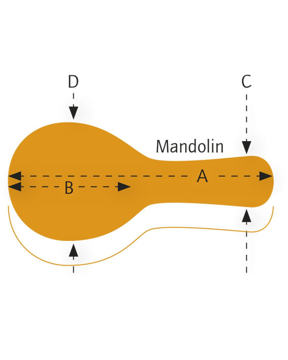 Ortega OMCSTD-A Economy A-Style Mandolin-Hardcase - Black