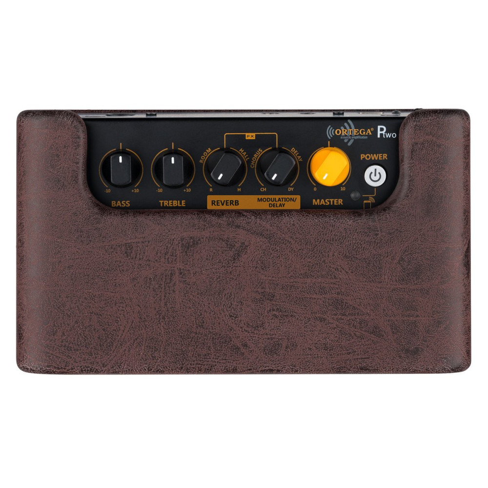 Ortega PTWO Amplification Series Portable Bluetooth Acoustic Amp/Speaker with Effects - 12-Watt