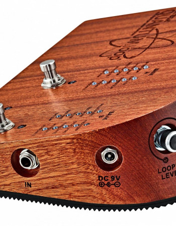 Ortega QUANTUMLOOP Stomp Box Effect Series Stomp Box & Looper