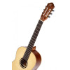 Ortega R121G Family Series 4/4 Classical Guitar 6 String - Mahogany Gloss Natural + Gigbag