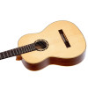Ortega R121G Family Series 4/4 Classical Guitar 6 String - Mahogany Gloss Natural + Gigbag