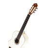 Ortega R121WH Family Series 4/4 Classical Guitar 6 String - White + Gigbag
