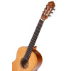 Ortega R122G Family Series 4/4 Classical Guitar 6 String - Cedar / Mahogany Gloss Natural + Gigbag