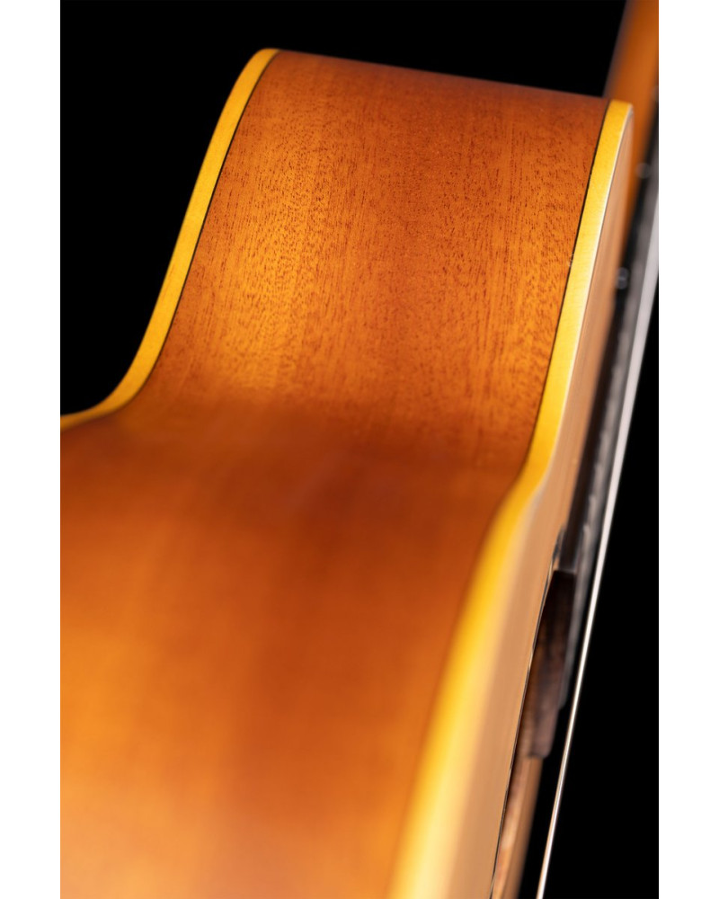 Ortega R131 Family Series Pro 4/4 Classical Guitar 6 String - Cedar / Mahogany Natural + Gigbag