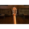 Ortega R131 Family Series Pro 4/4 Classical Guitar 6 String - Cedar / Mahogany Natural + Gigbag